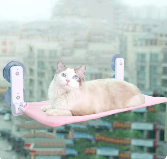 Cat Hanging Bed