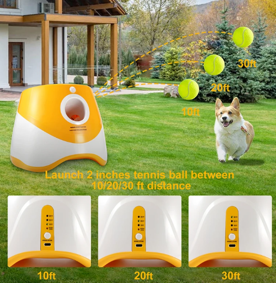 Automatic Dog Tennis Launcher