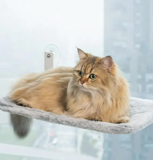 Cat Hanging Bed