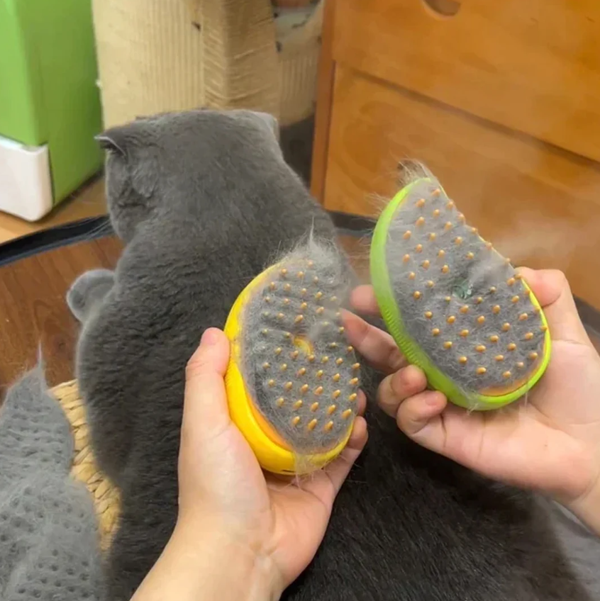 Pet Brush